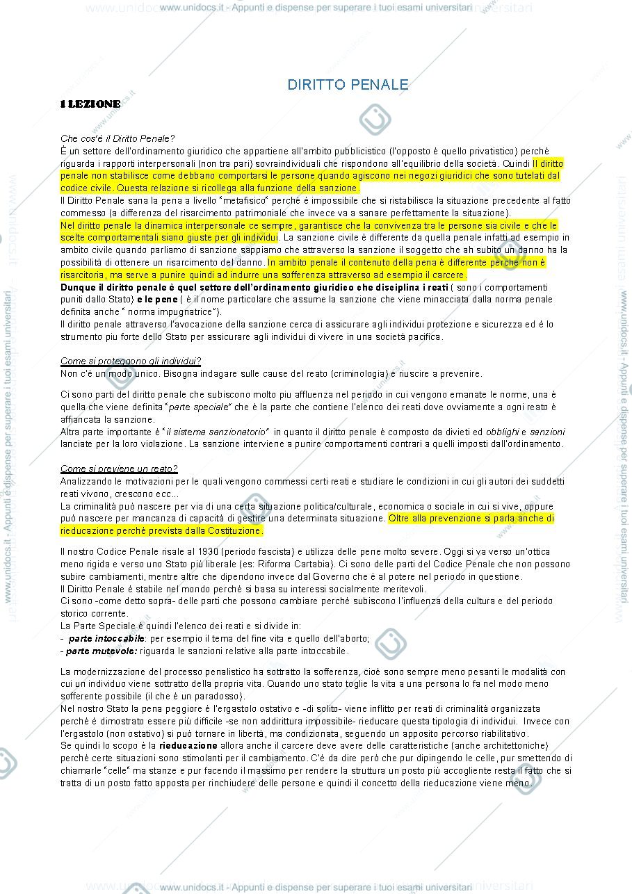 Anteprima pagina 1 — diritto  penale