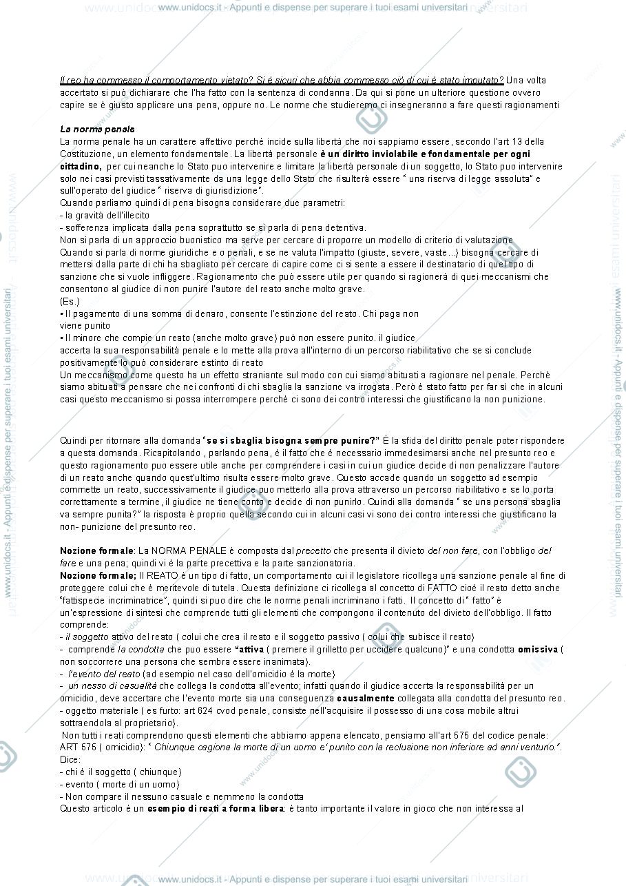 Anteprima pagina 3 — diritto  penale