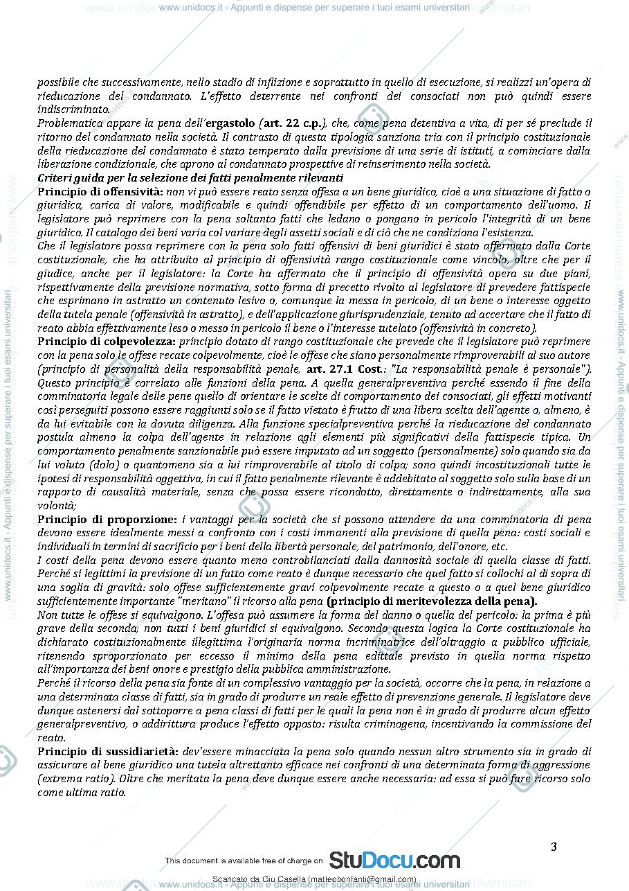 Anteprima pagina 4 — Penale