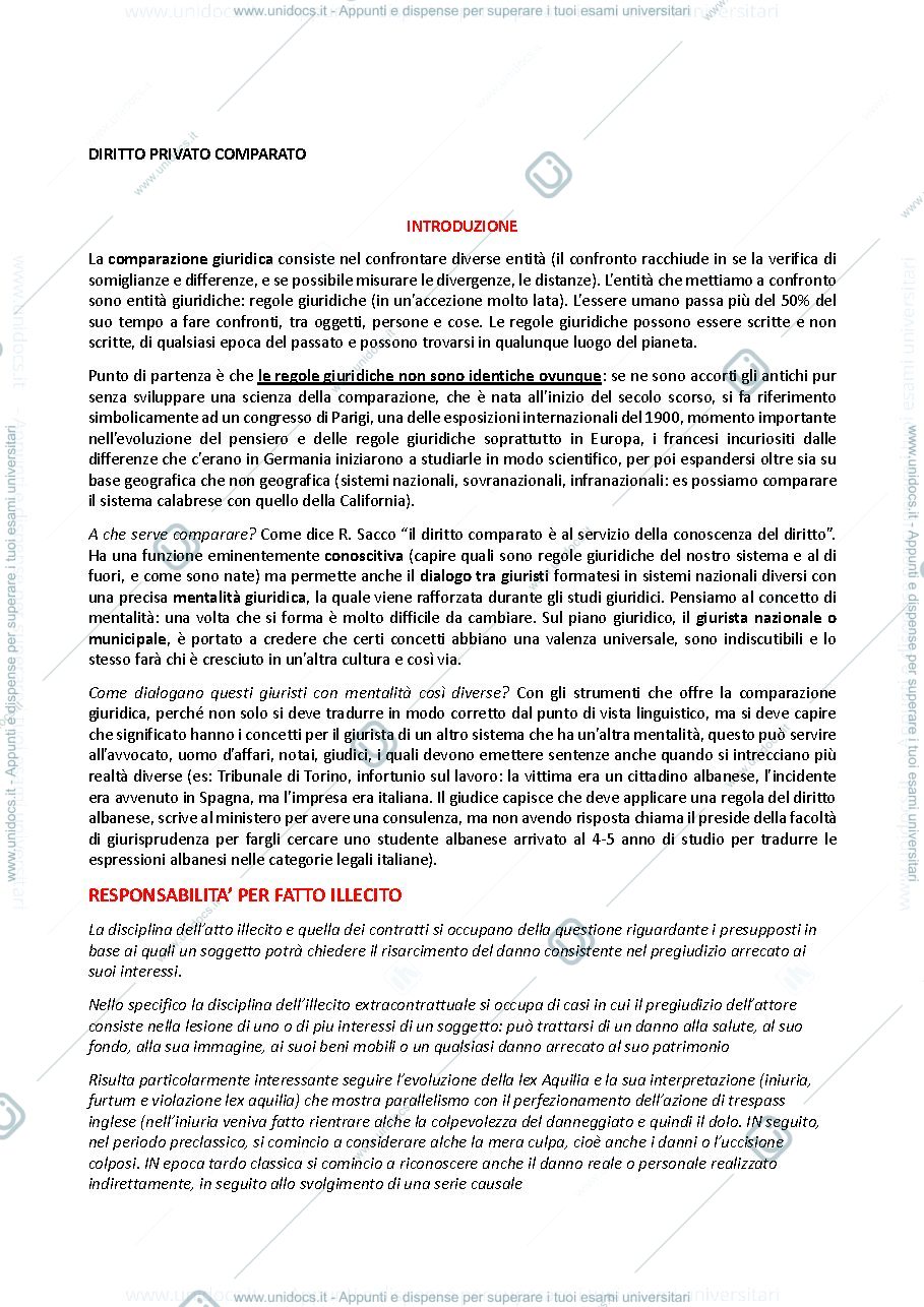 Anteprima pagina 1 — Appunti diritto comparato