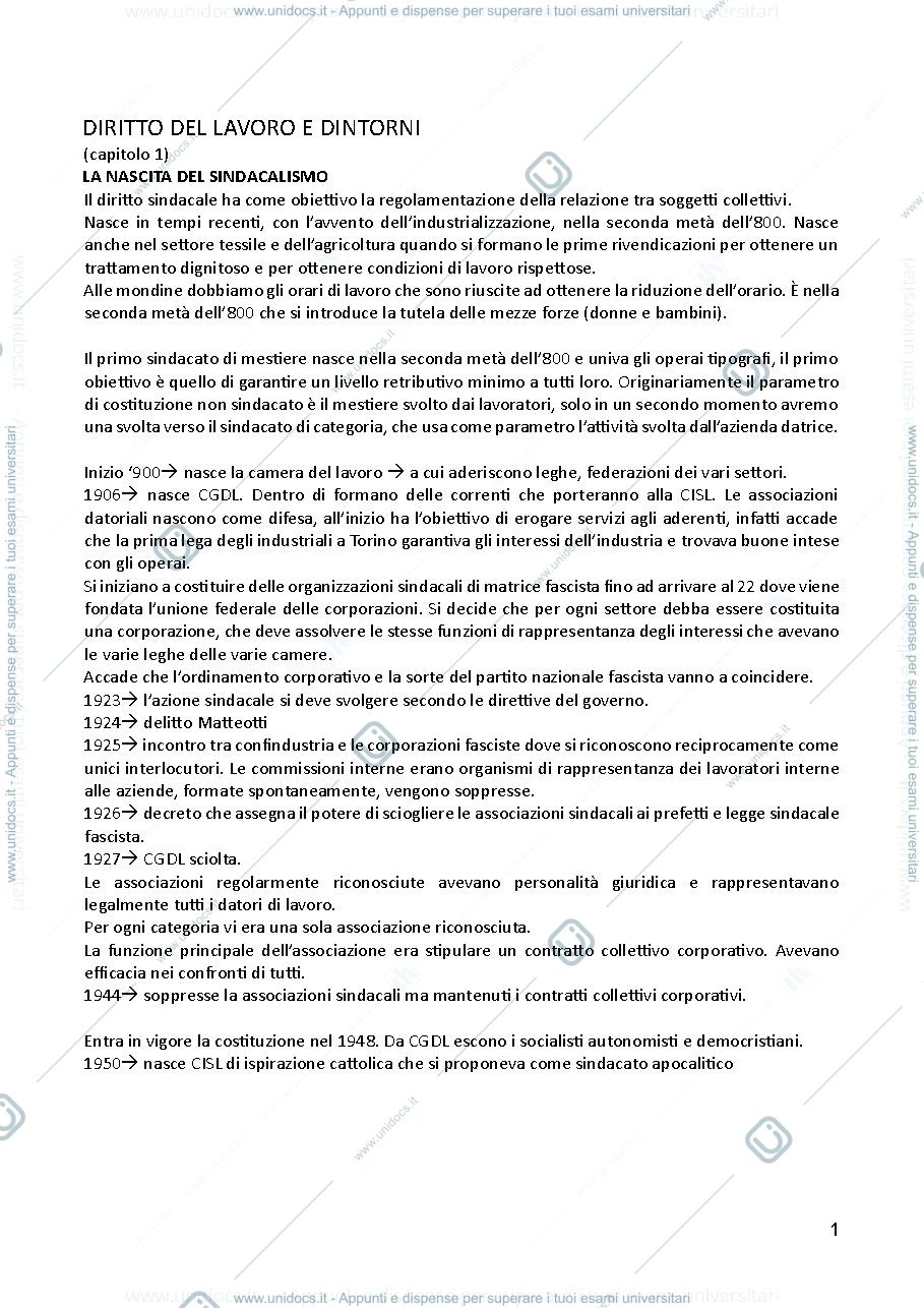 Anteprima pagina 1 — diritto del lavoro