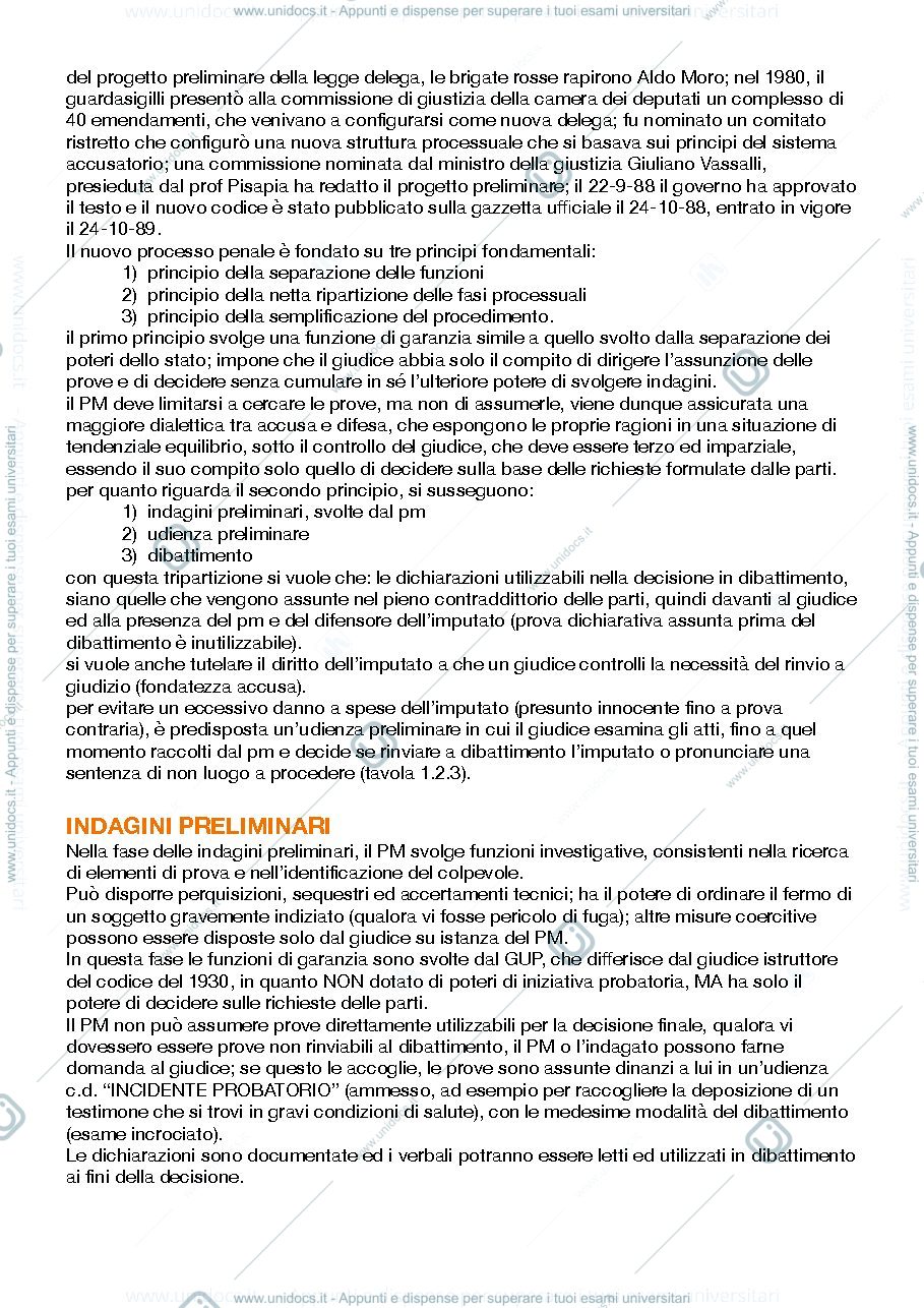 Anteprima pagina 3 — Appunti Diritto Processuale 