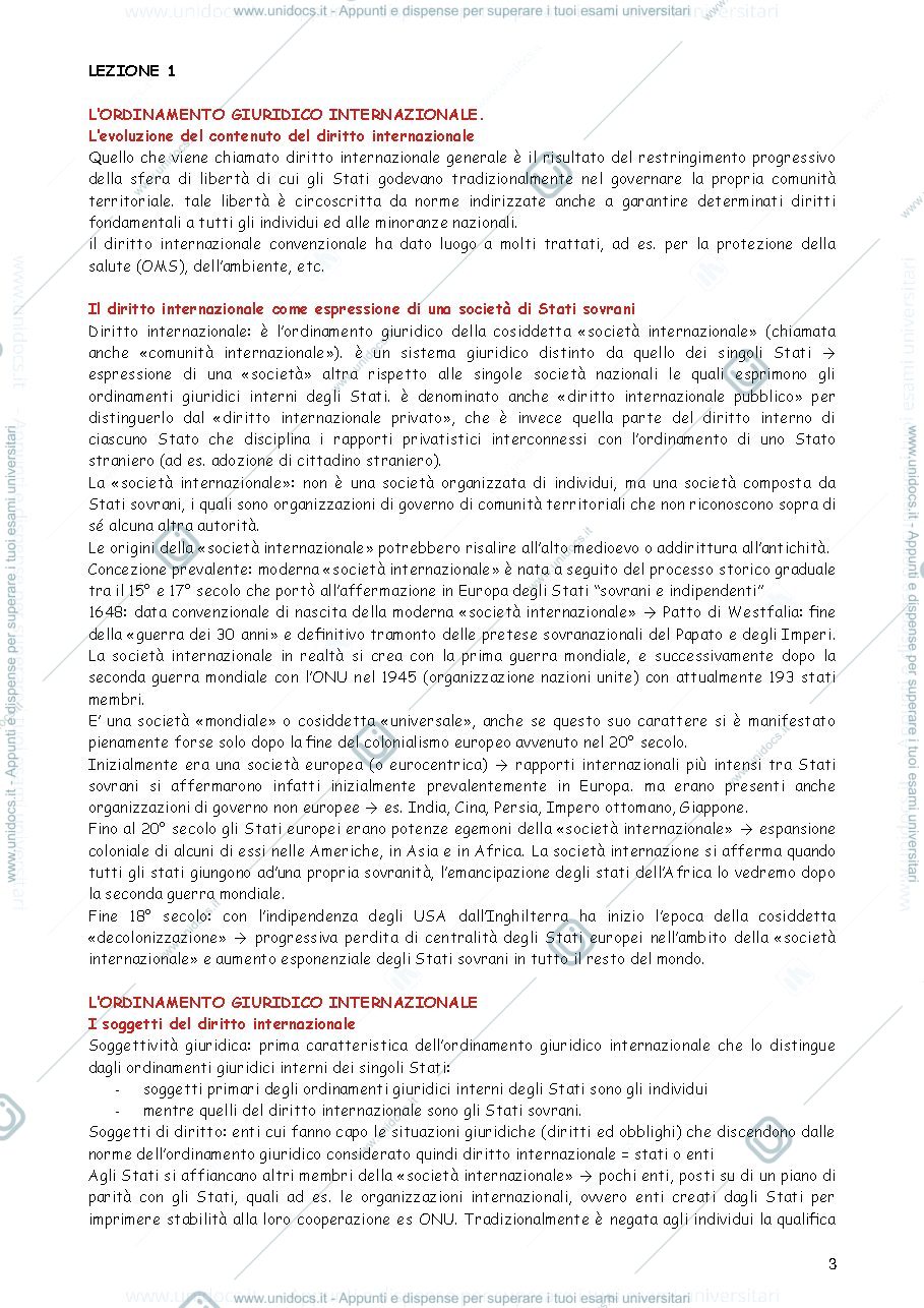 Anteprima pagina 3 — diritto internazionale bracchi