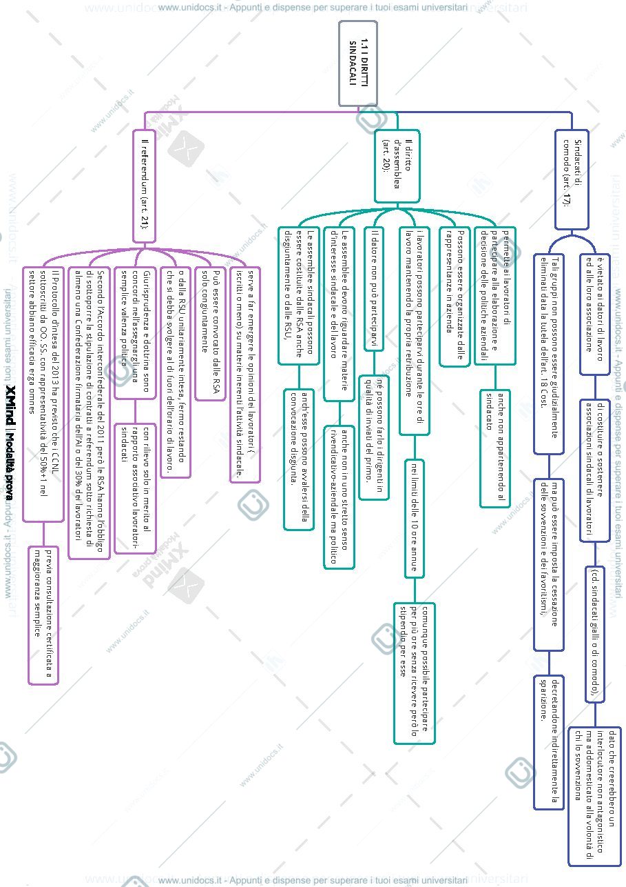 Anteprima pagina 1 — diritto sindacale schema