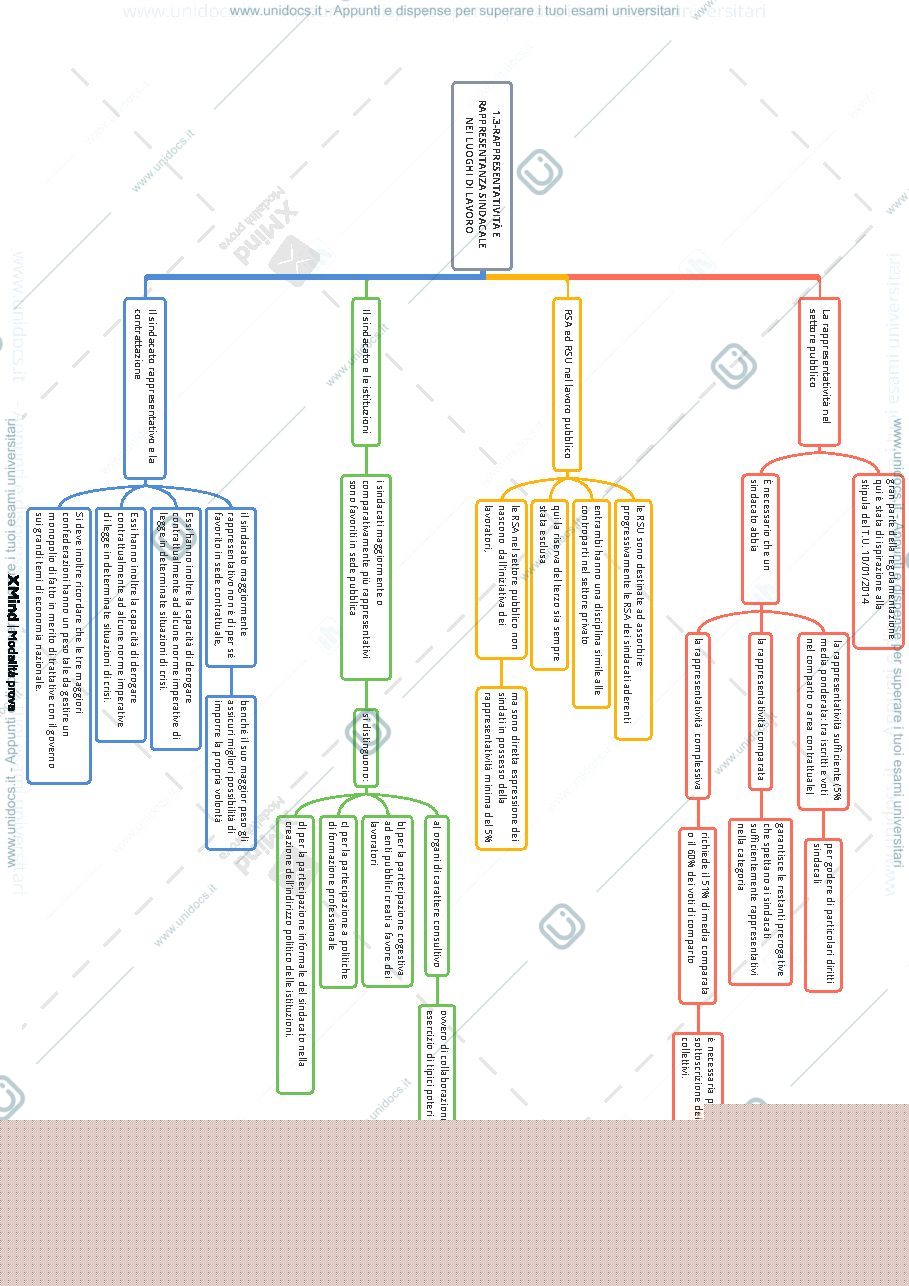 Anteprima pagina 3 — diritto sindacale schema