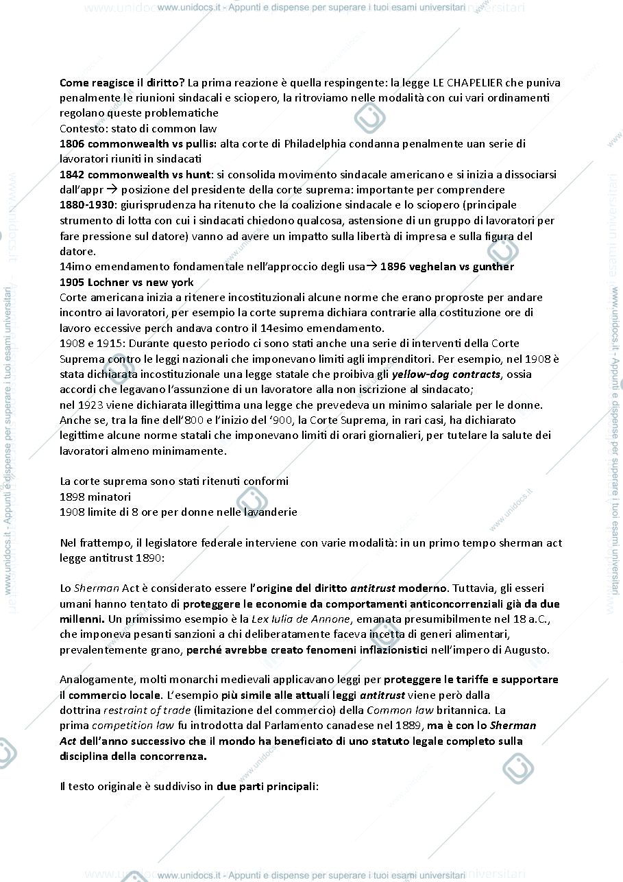 Anteprima pagina 2 — Diritto sindacale e delle relazioni industriali 