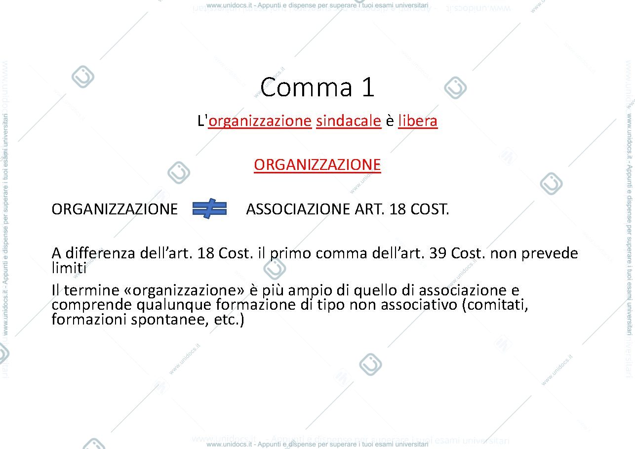 Anteprima pagina 2 — Slides diritto Sindacale