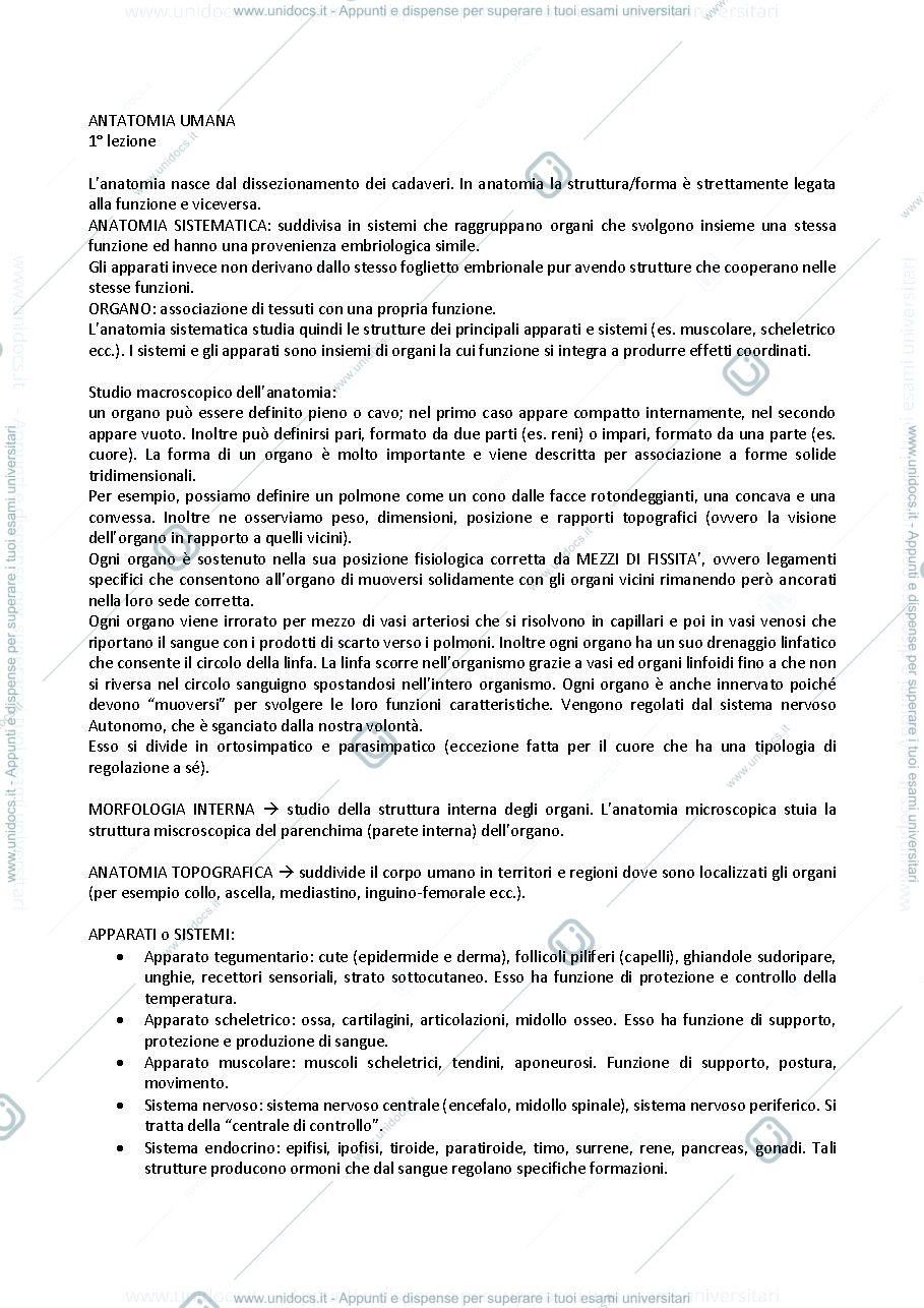 Anteprima pagina 1 — ANATOMIA UMANA