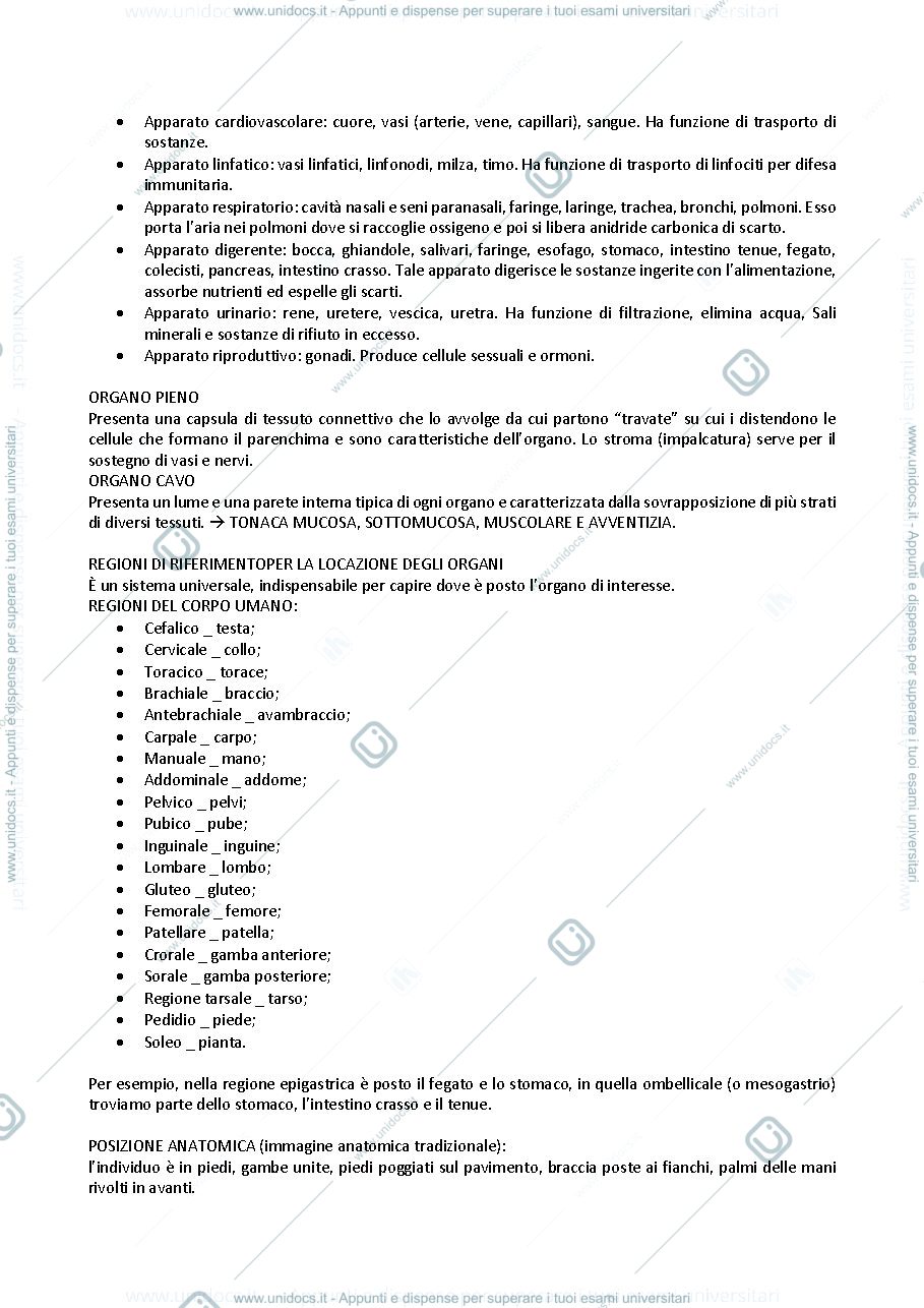 Anteprima pagina 2 — ANATOMIA UMANA