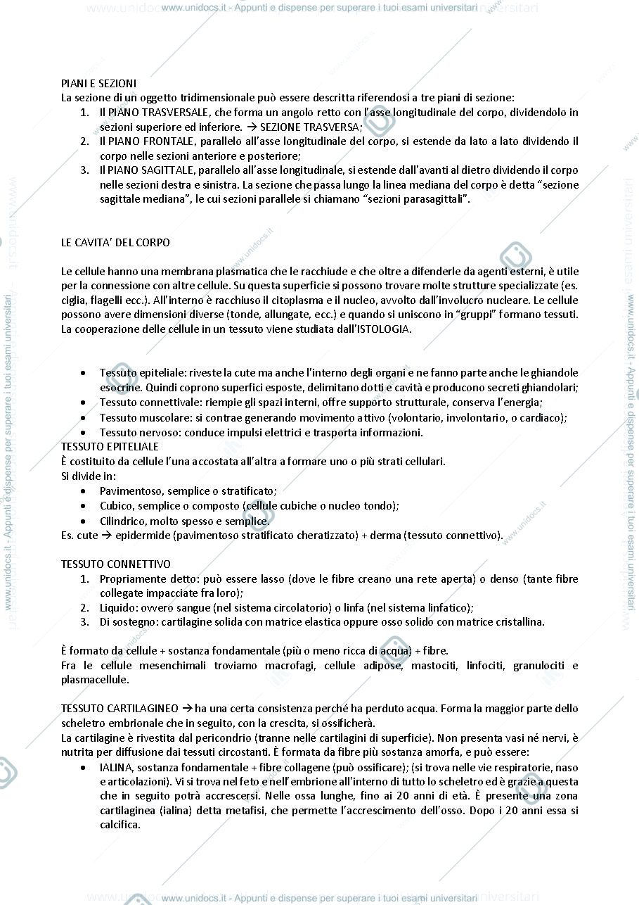 Anteprima pagina 3 — ANATOMIA UMANA