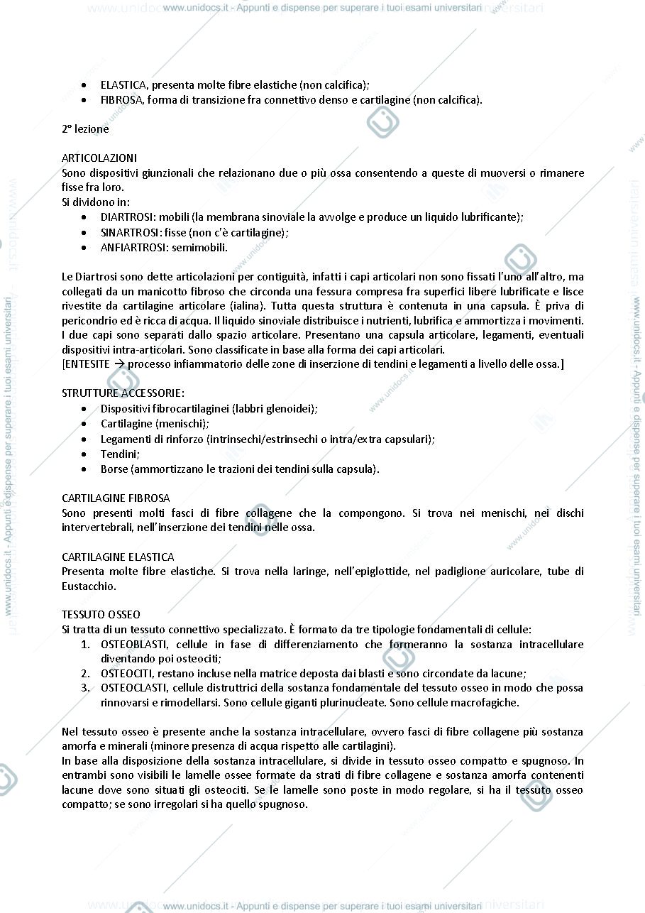 Anteprima pagina 4 — ANATOMIA UMANA