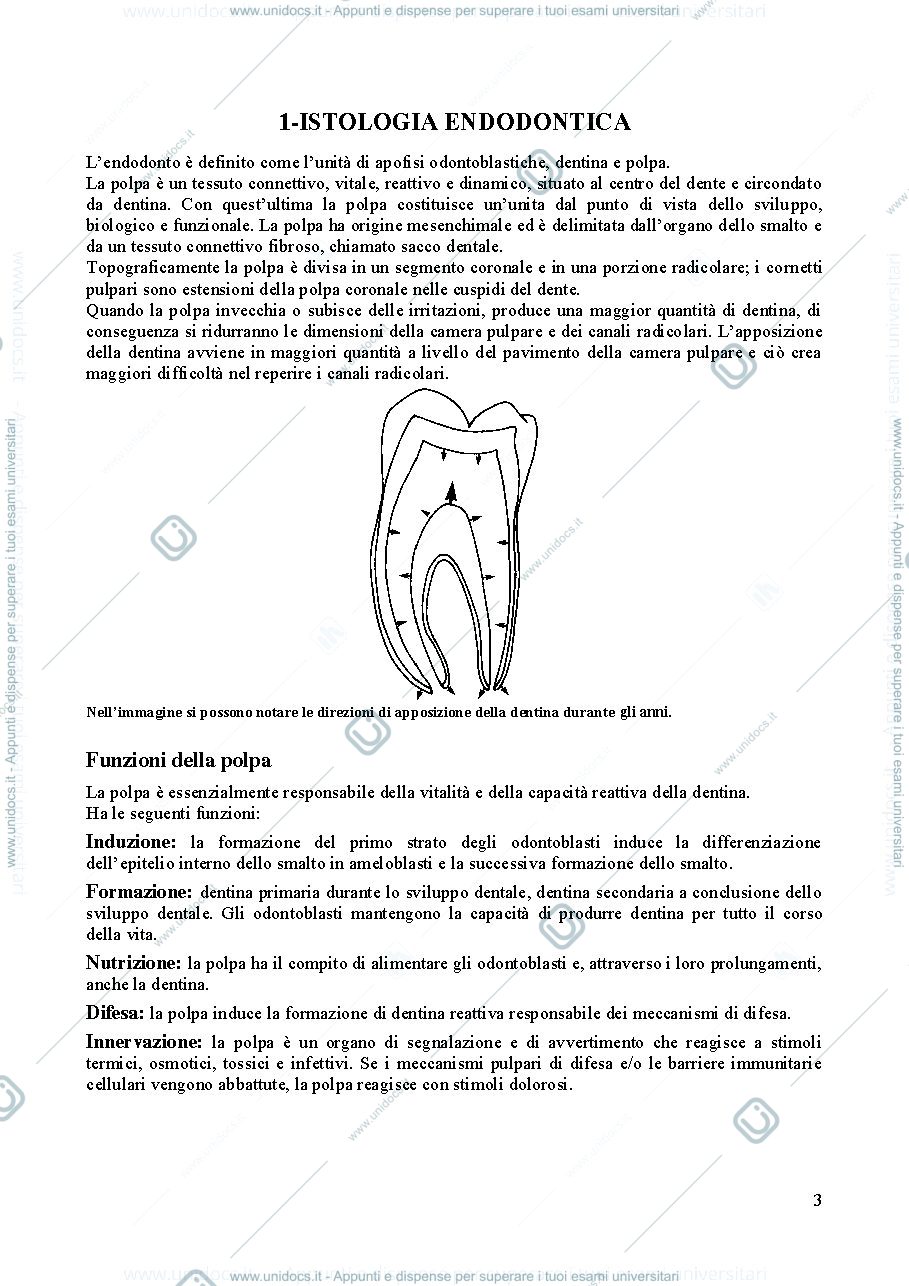 Anteprima pagina 4 — Endodonzia