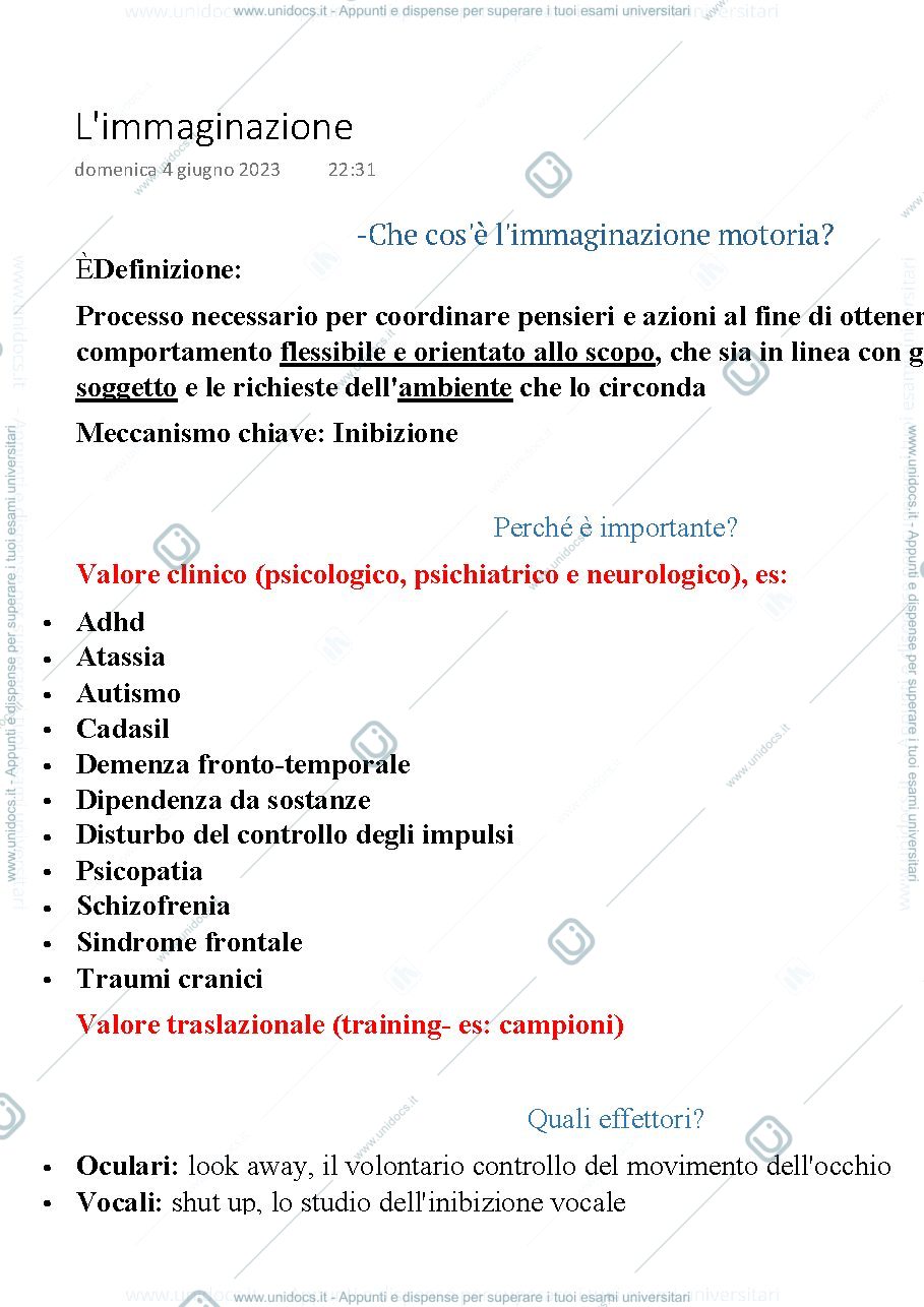 Anteprima pagina 1 — l'immaginazione