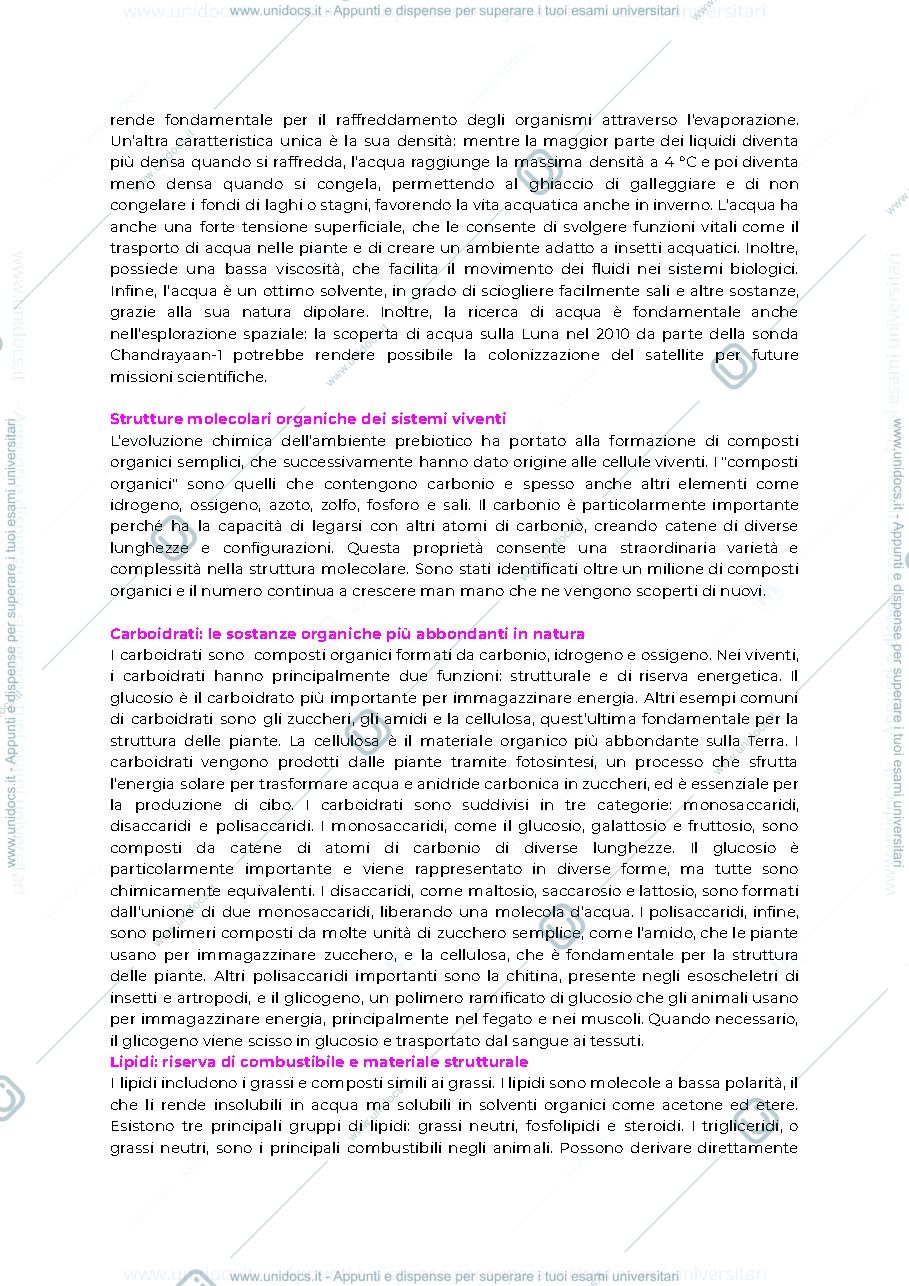 Anteprima pagina 3 — introduzione alla diversità animale