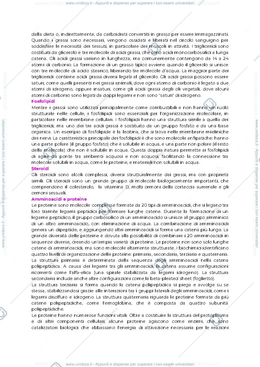 Anteprima pagina 4 — introduzione alla diversità animale