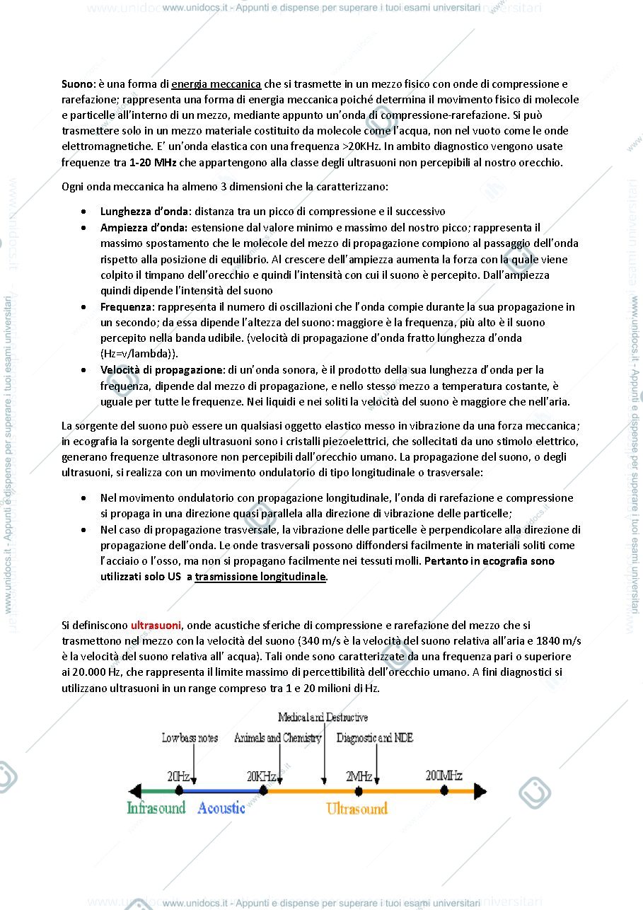 Anteprima pagina 2 — Ecografia 