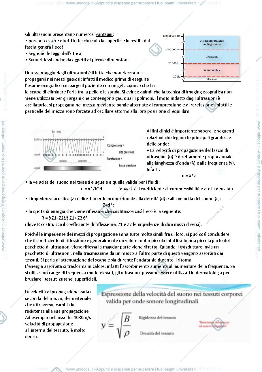 Anteprima pagina 3 — Ecografia 
