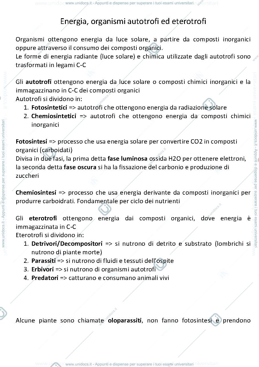 Anteprima pagina 3 — ecologia, prof, Maltagliati