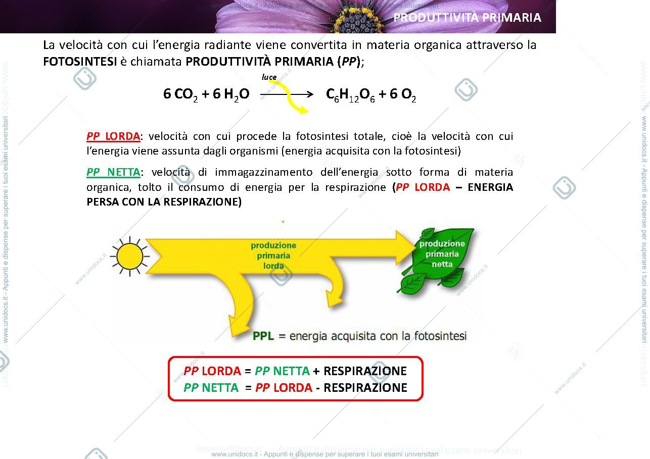 Anteprima pagina 2 — ecologia