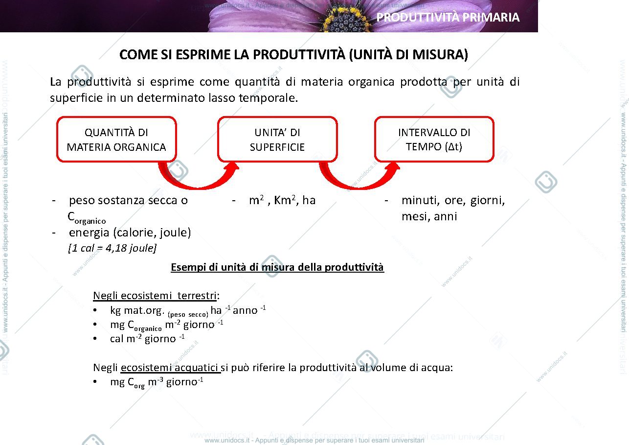 Anteprima pagina 3 — ecologia