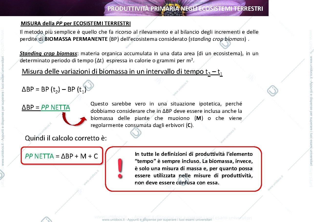Anteprima pagina 4 — ecologia