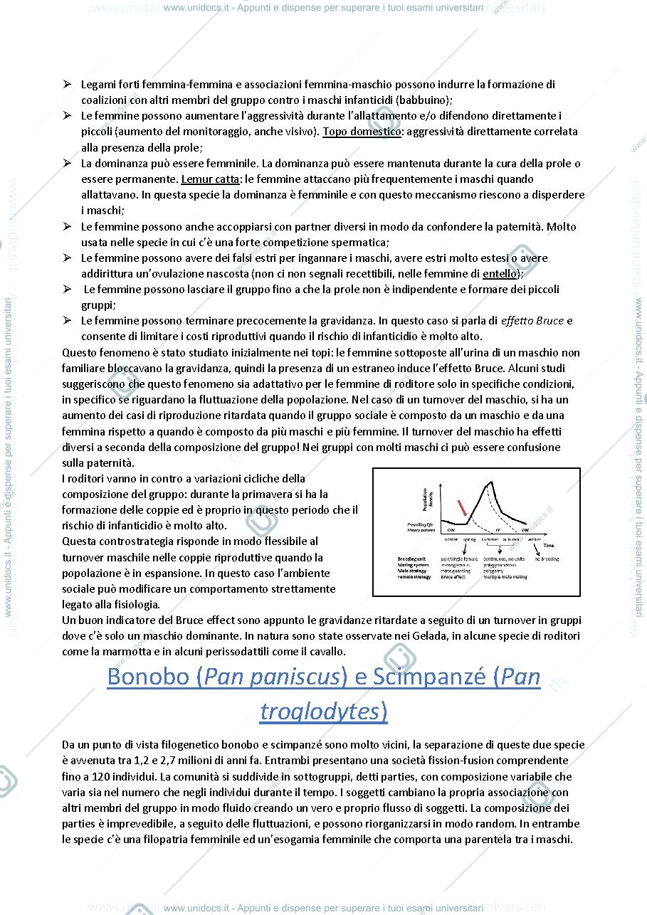 Anteprima pagina 2 — palagi - massolo