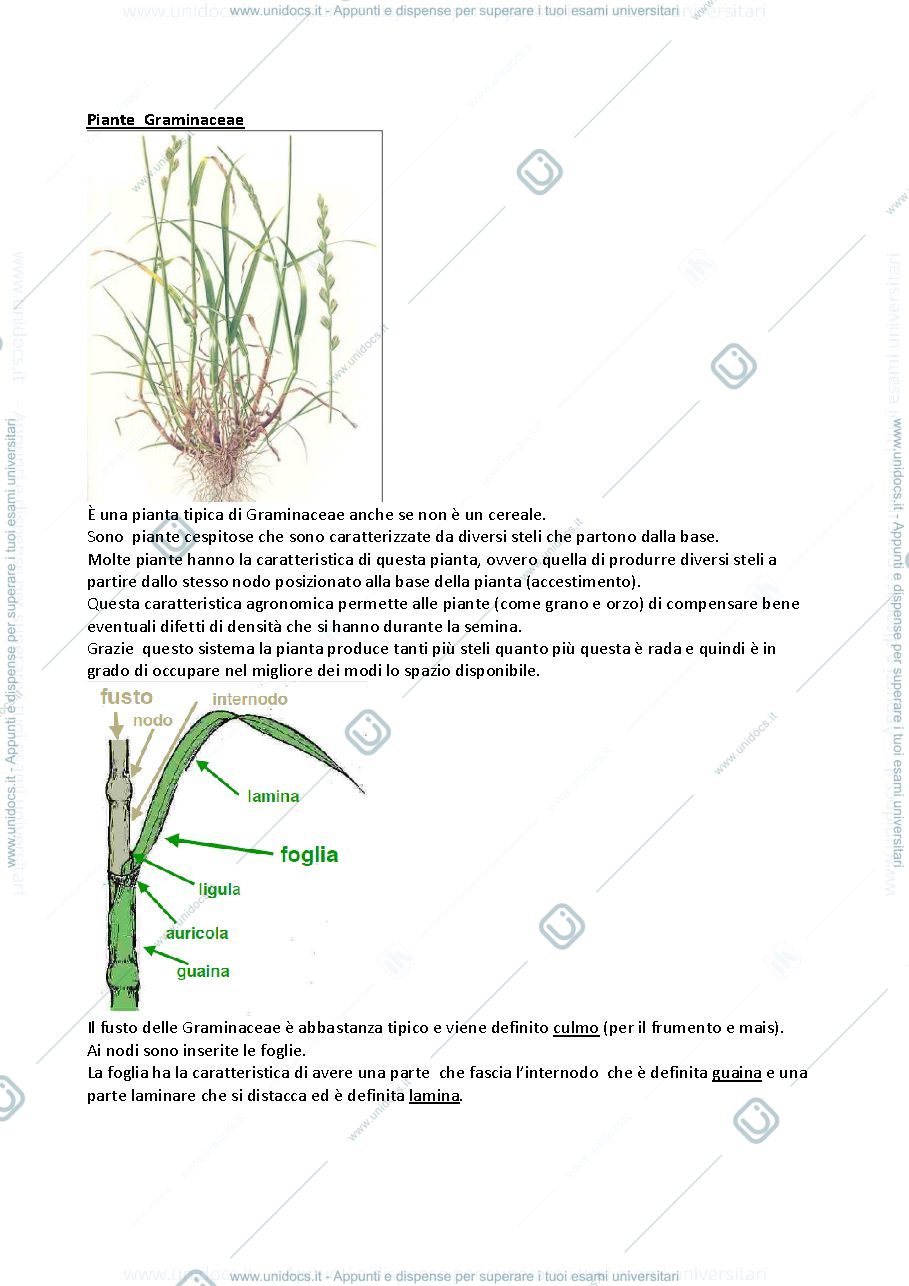 Anteprima pagina 5 — ecologia parte speciale 