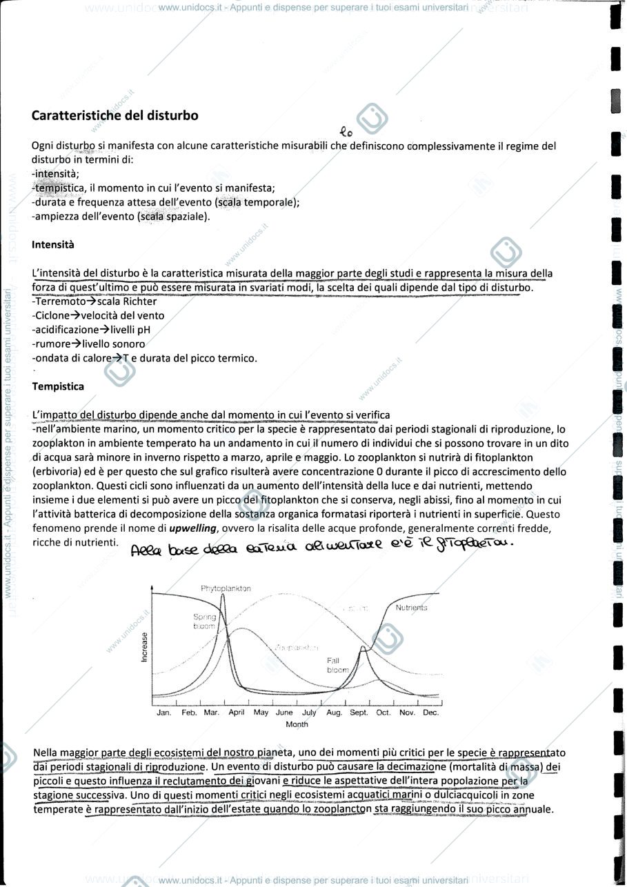 Anteprima pagina 1 — Prof Fraschetti