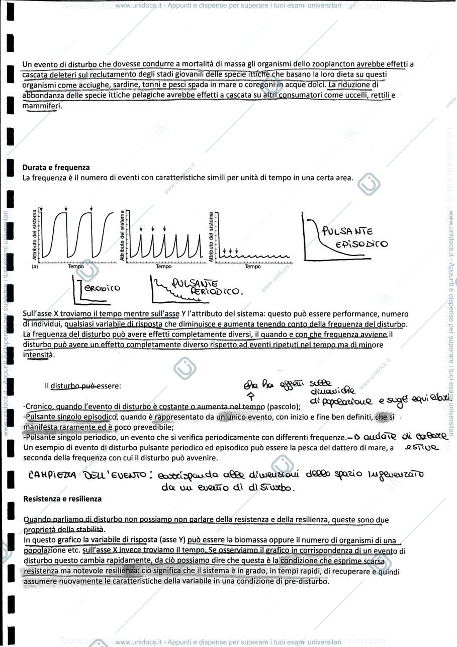 Anteprima pagina 2 — Prof Fraschetti