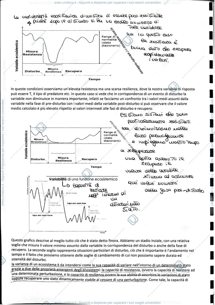 Anteprima pagina 3 — Prof Fraschetti