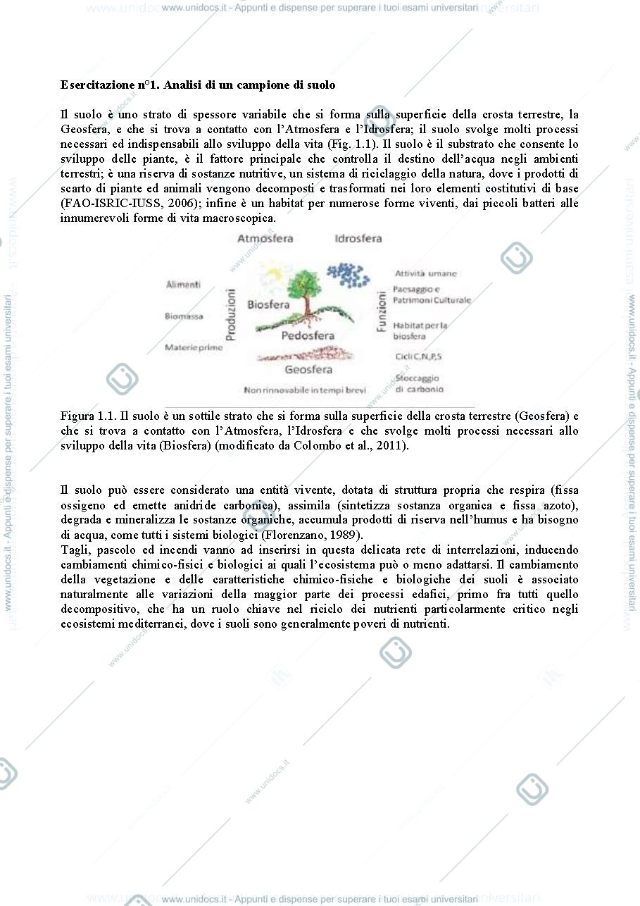 Anteprima pagina 1 — Esercitazioni ecologia