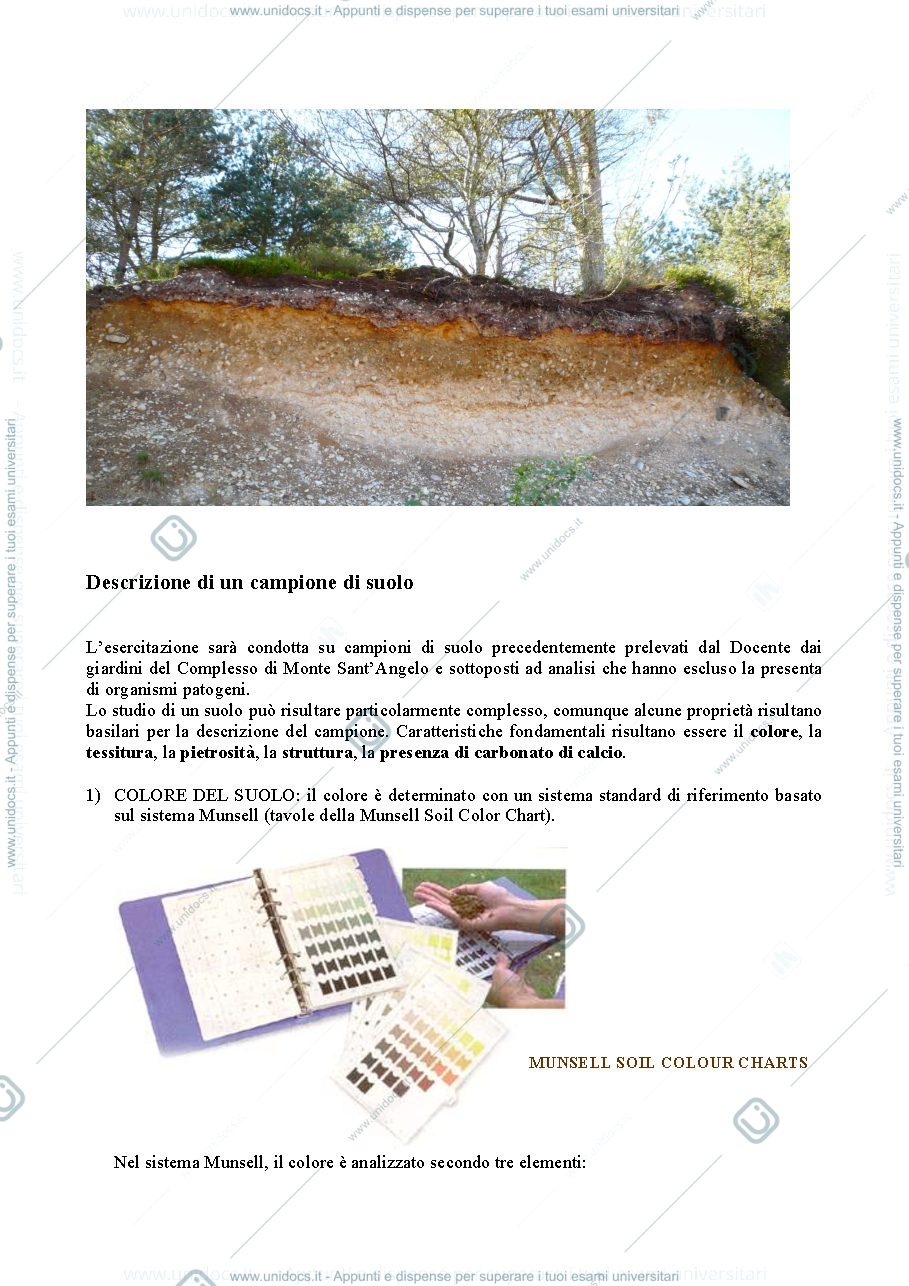 Anteprima pagina 2 — Esercitazioni ecologia