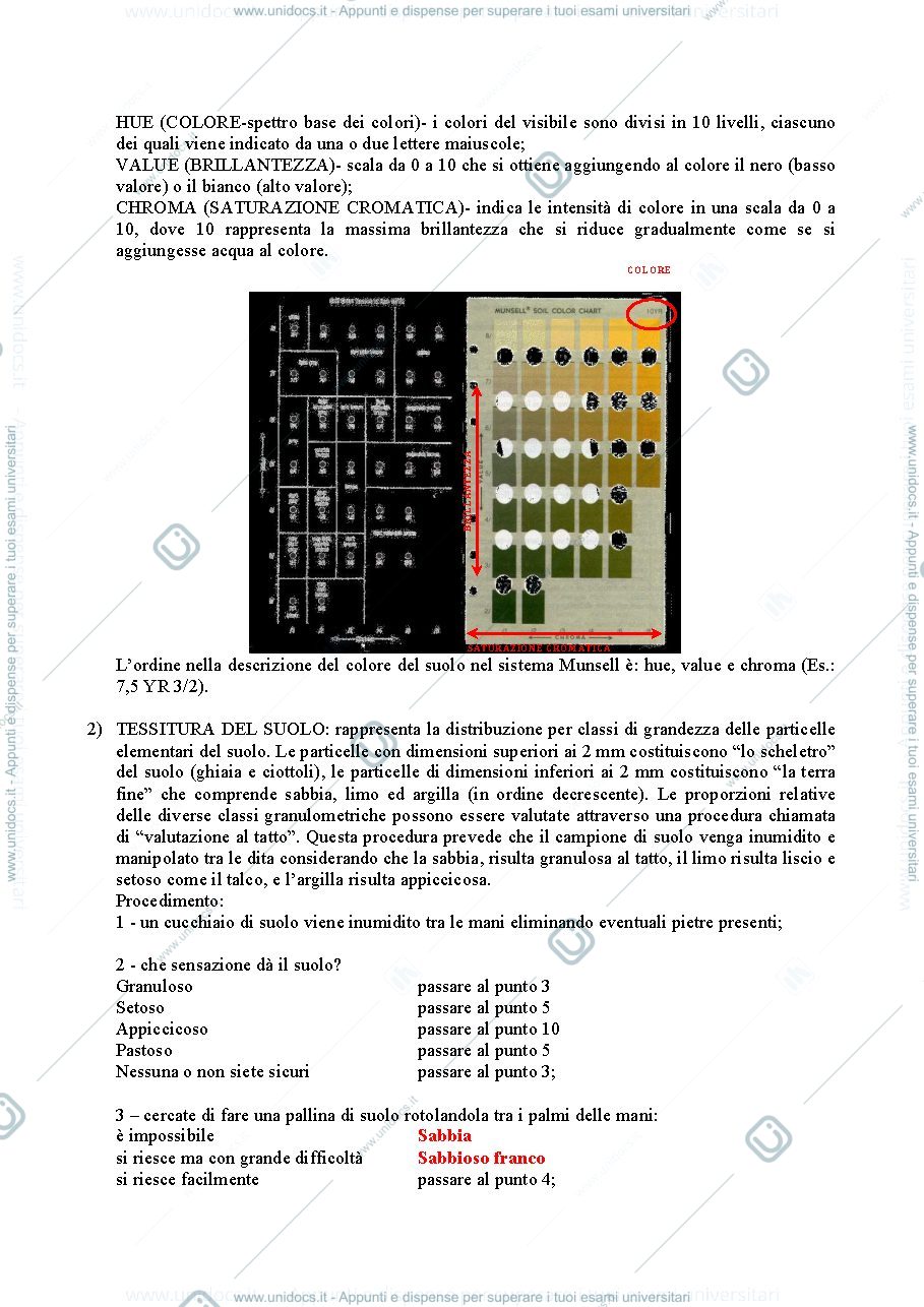 Anteprima pagina 3 — Esercitazioni ecologia