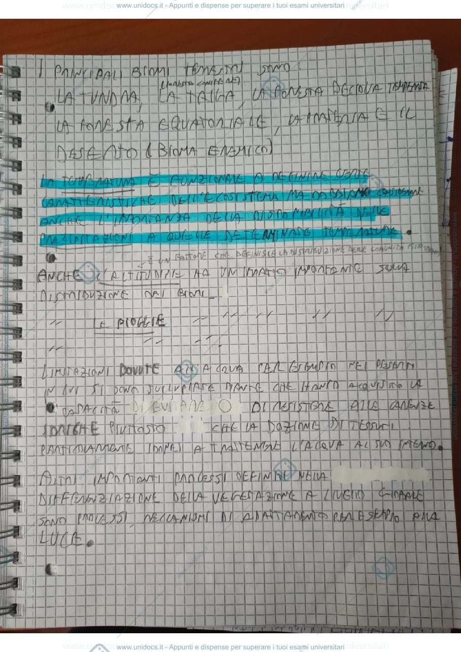 Anteprima pagina 2 — bioma