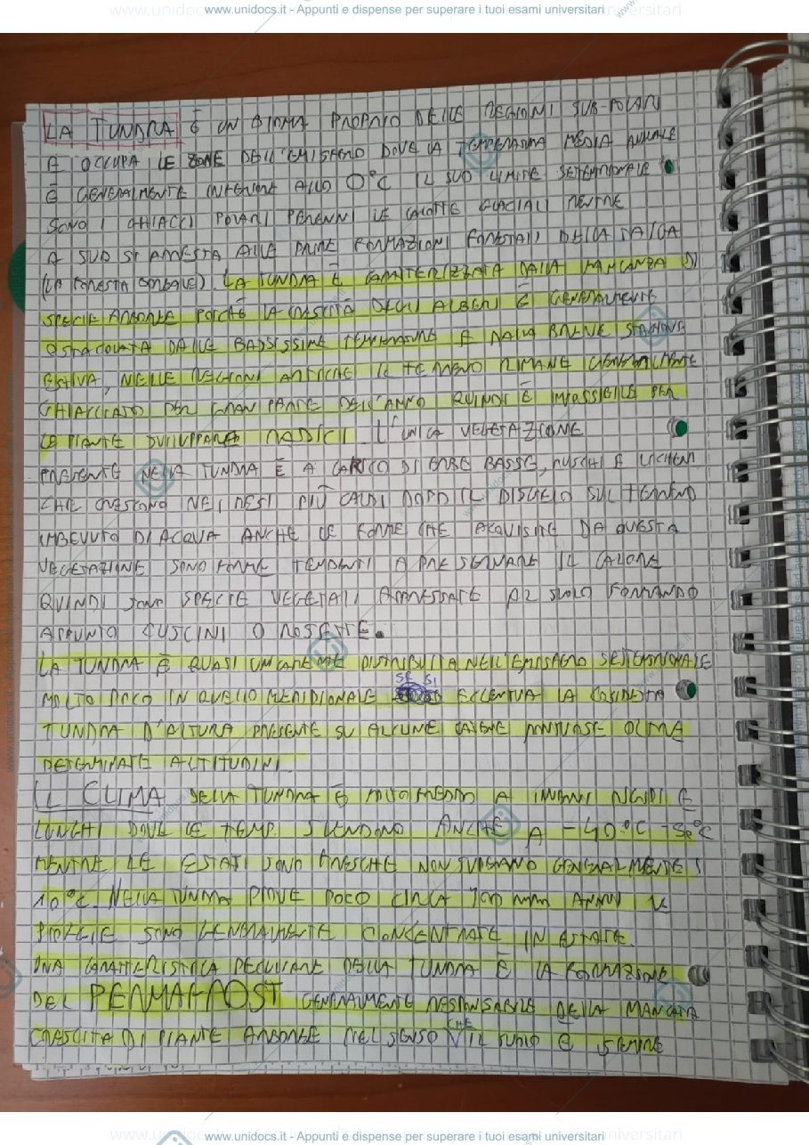 Anteprima pagina 3 — bioma