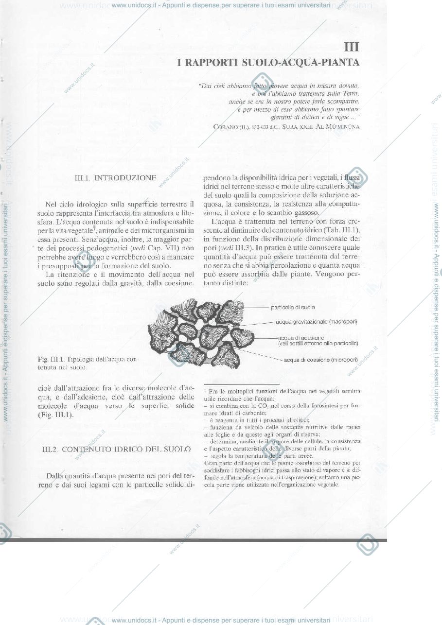 Anteprima pagina 1 — ecologia vegetale