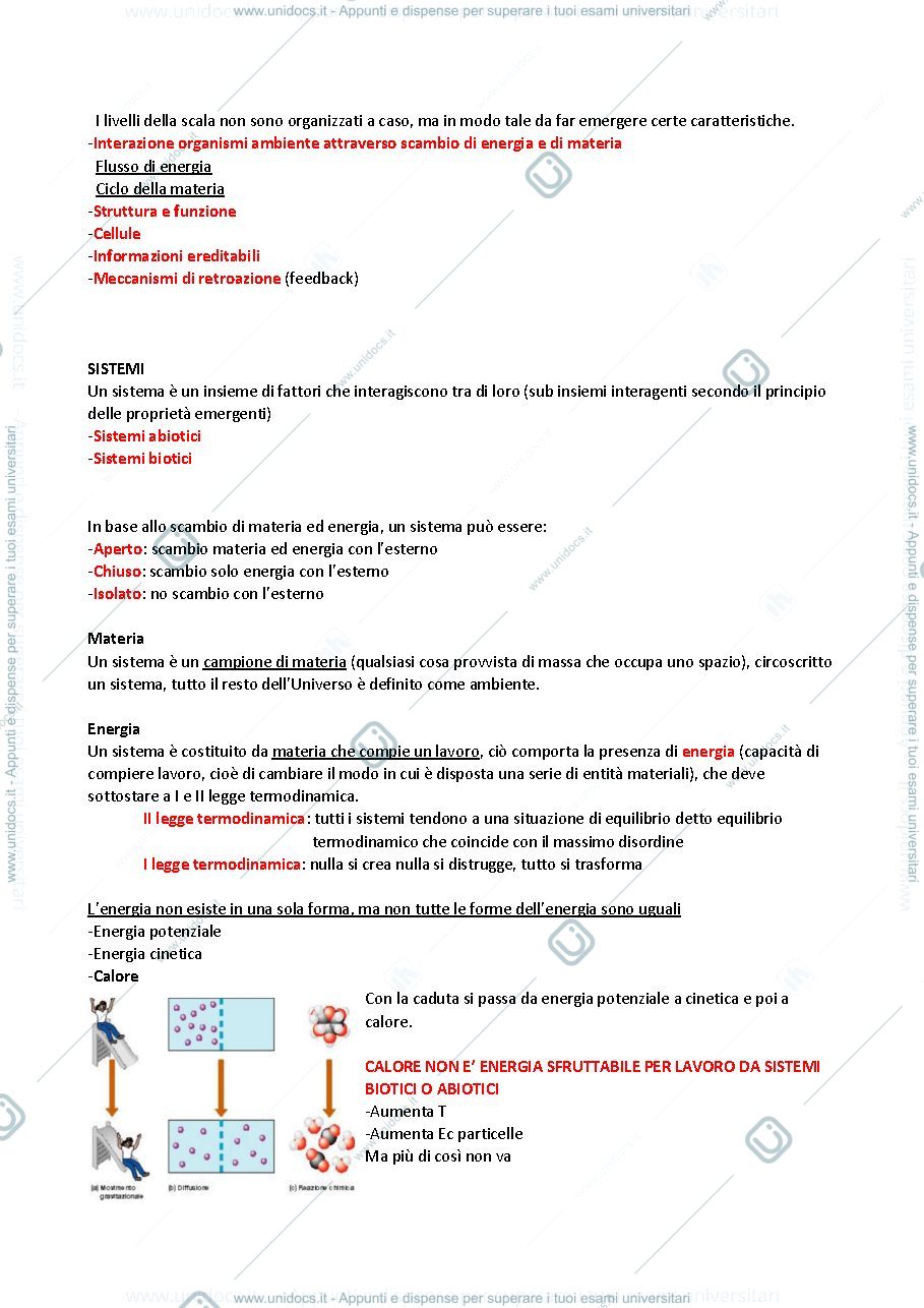 Anteprima pagina 4 — Ecologia