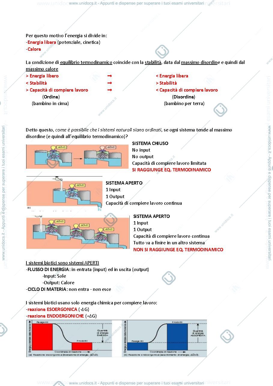 Anteprima pagina 5 — Ecologia