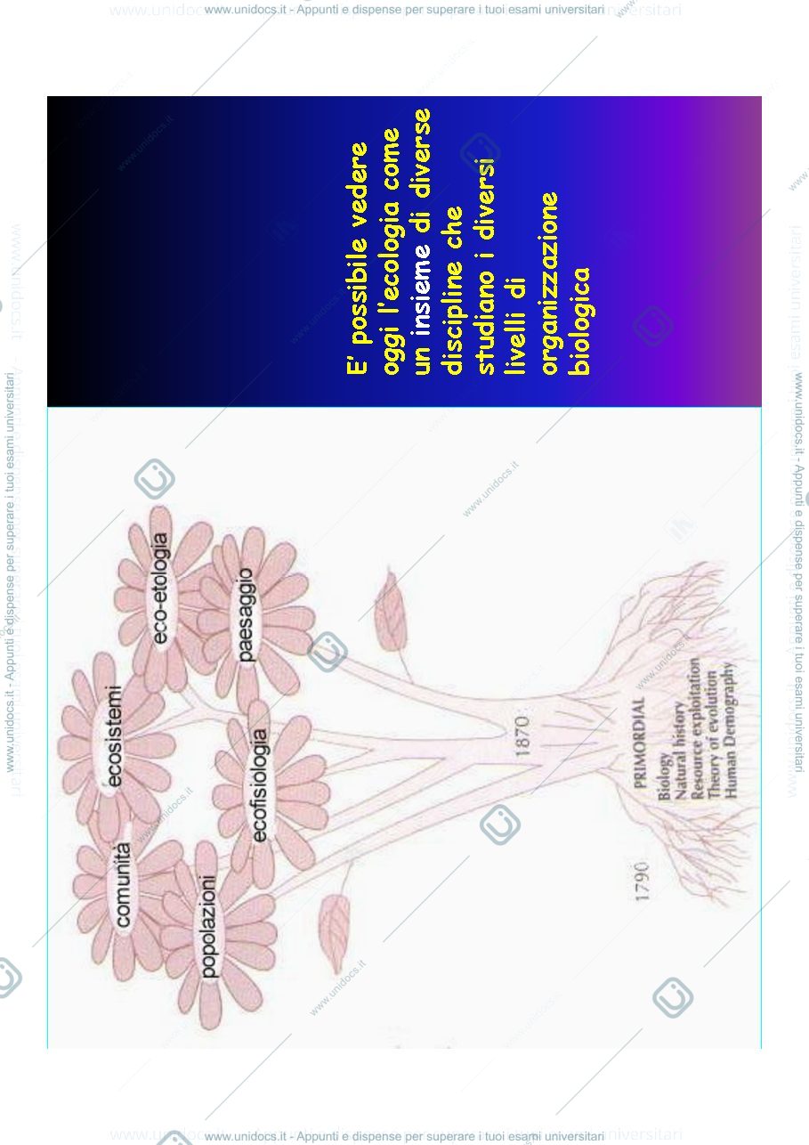 Anteprima pagina 3 — ECOLOGIA DEL PAESAGGIO