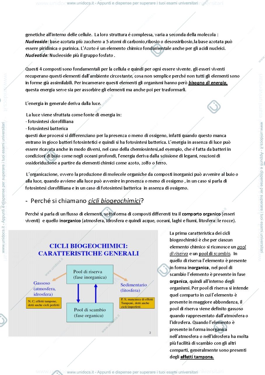 Anteprima pagina 2 — Cicli Biogeochimici