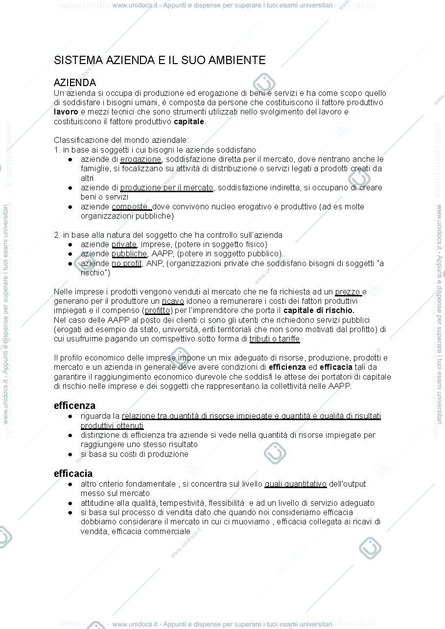 Anteprima pagina 1 — Economia aziendale 