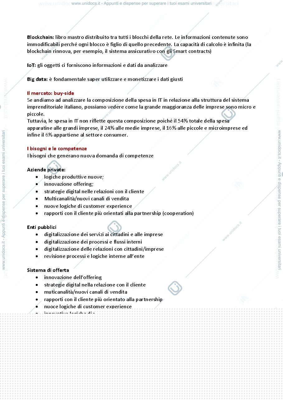 Anteprima pagina 3 — Management dei sistemi informativi