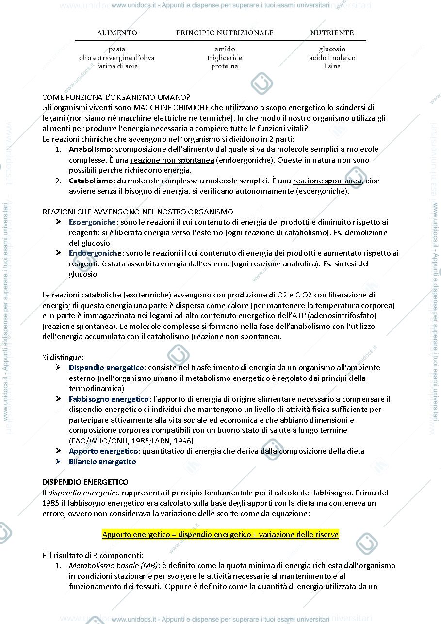 Anteprima pagina 2 — Merceologia 