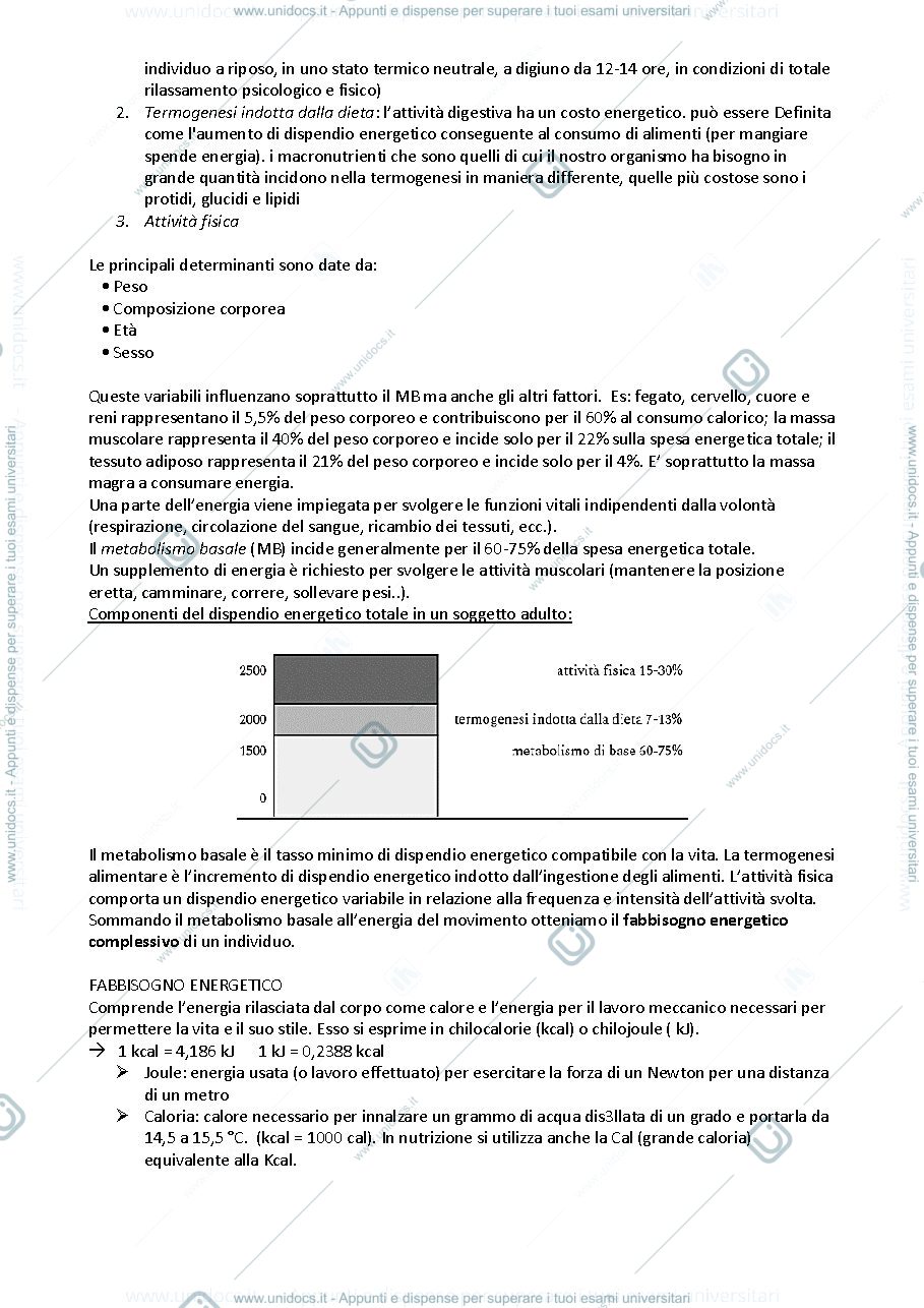 Anteprima pagina 3 — Merceologia 