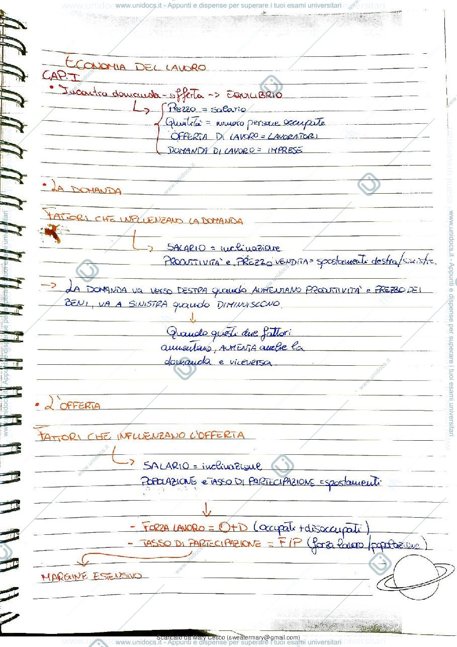 Anteprima pagina 1 — Schemi Economia del lavoro 