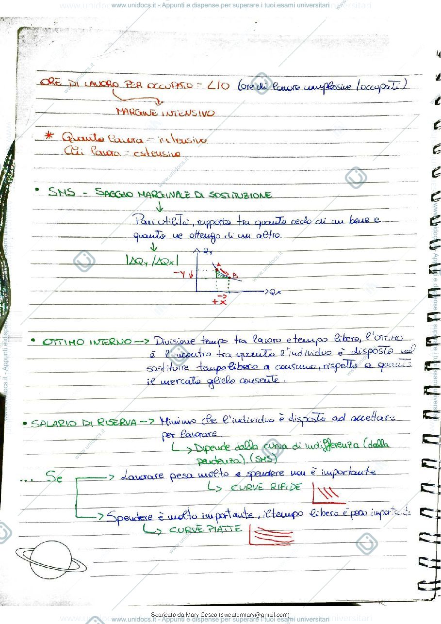 Anteprima pagina 2 — Schemi Economia del lavoro 