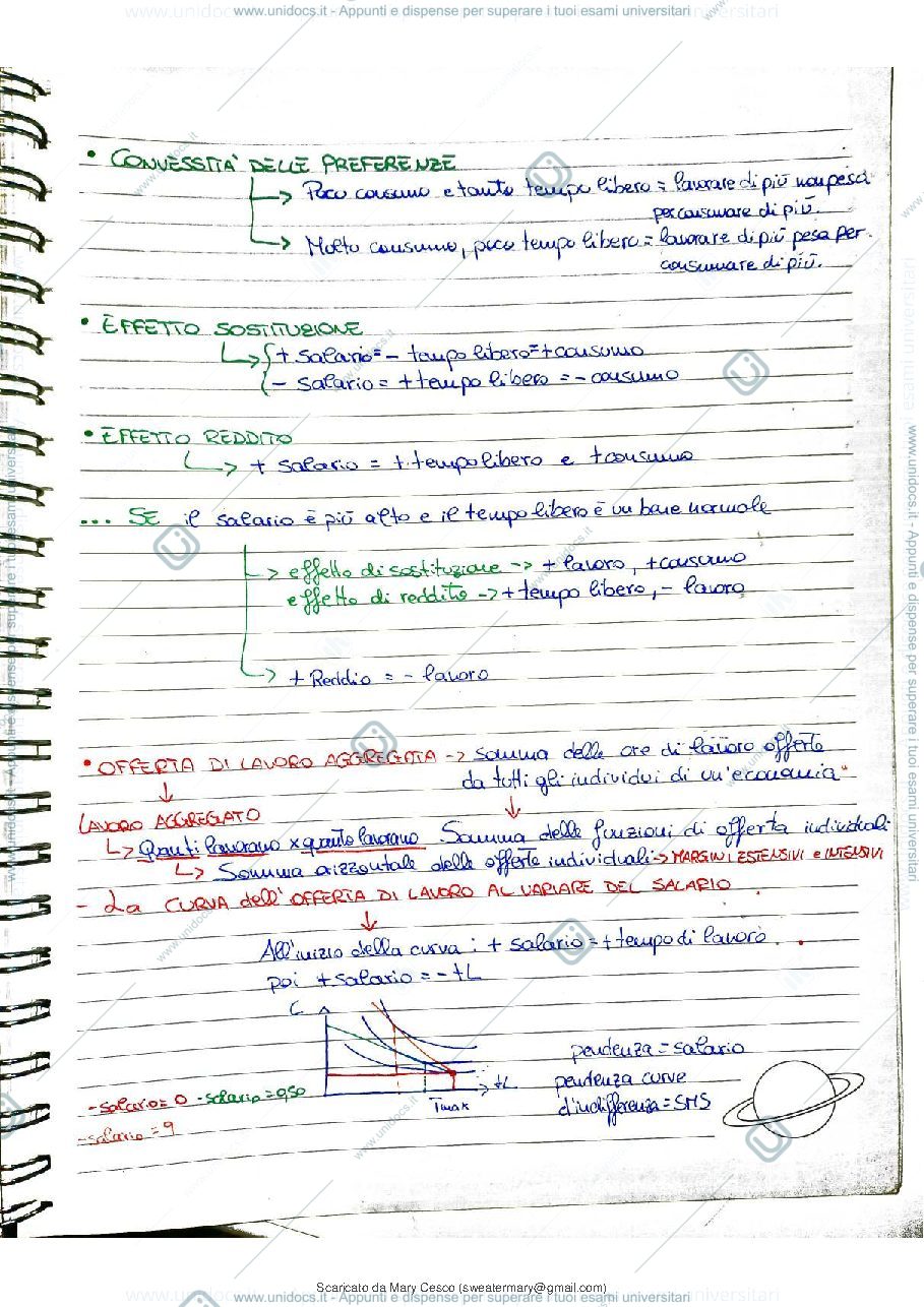 Anteprima pagina 3 — Schemi Economia del lavoro 