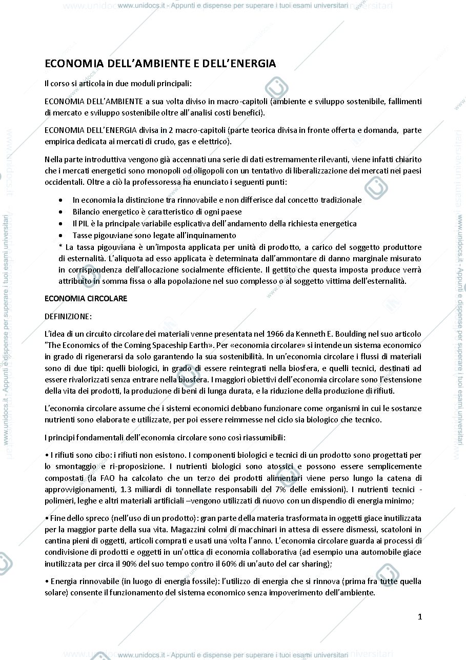 Anteprima pagina 1 — Appunti corso di Economia dell'Ambiente e dell'Energia