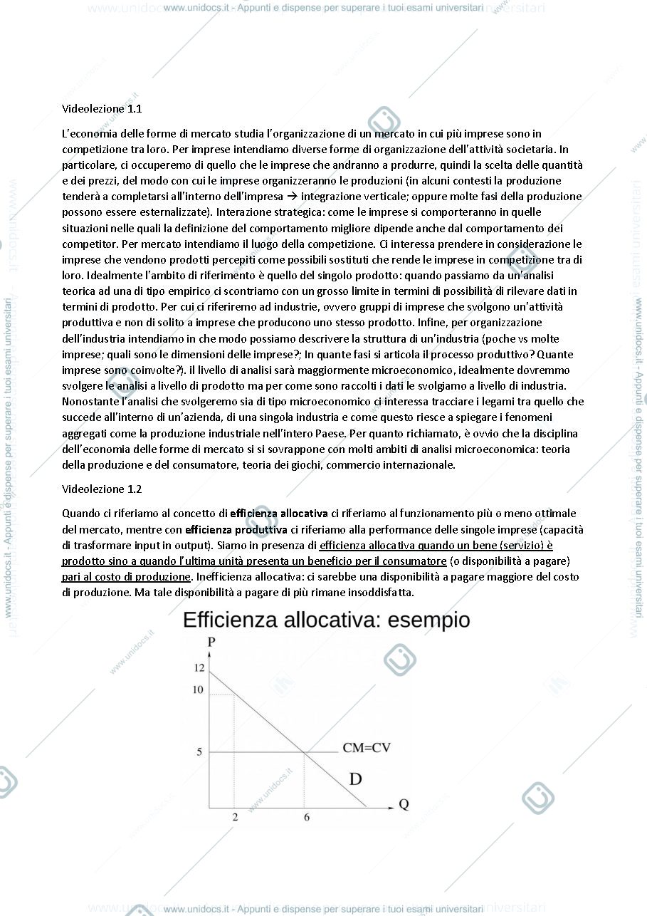 Anteprima pagina 1 — Appunti completi di Economia delle forme di mercato