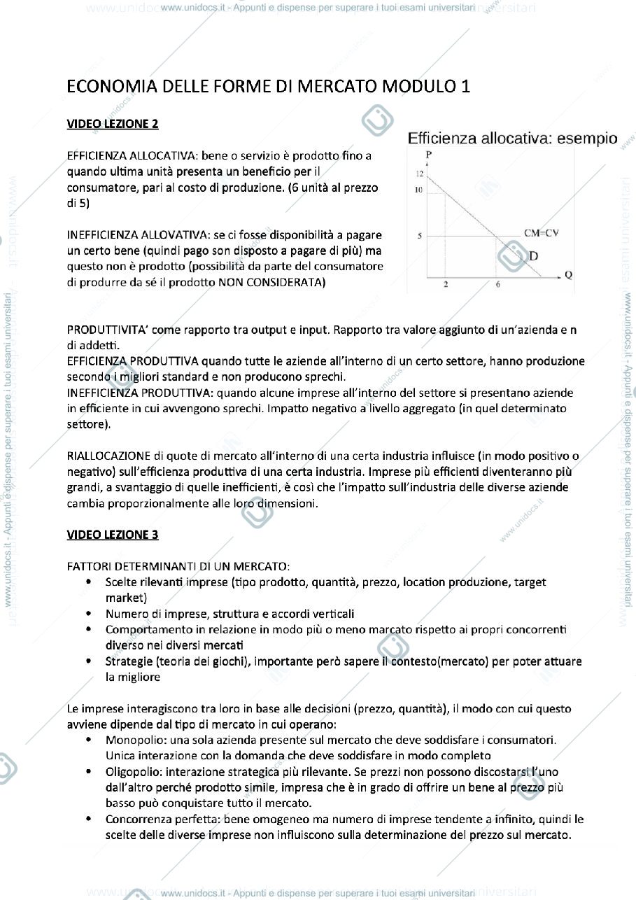 Anteprima pagina 1 — Programma d'esame da "Video-lezioni integrate" 